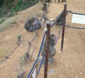 img_20161112_1543022